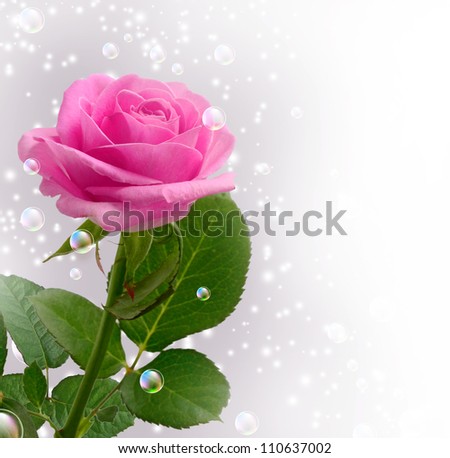 Card with pink rose, bubbles and stars