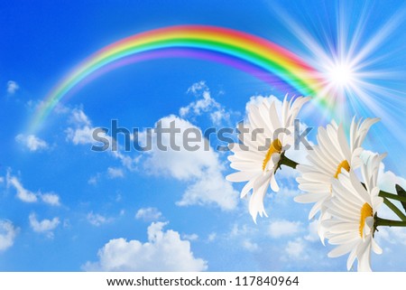 Daisy and rainbow against the sky