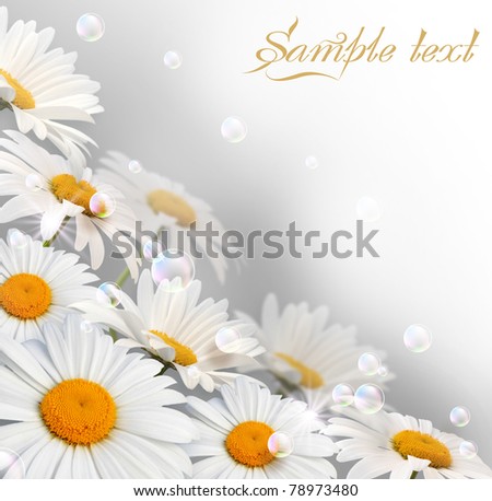 Card with daisy, bubbles and stars