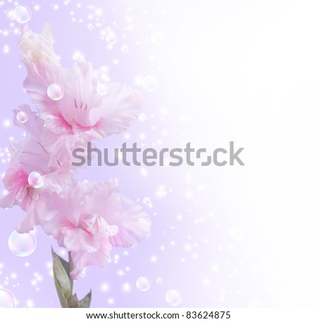 Card with gladiolus, bubbles and stars