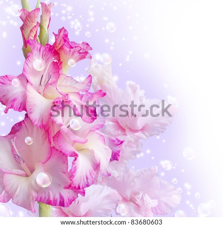 Card with gladiolus, bubbles and stars