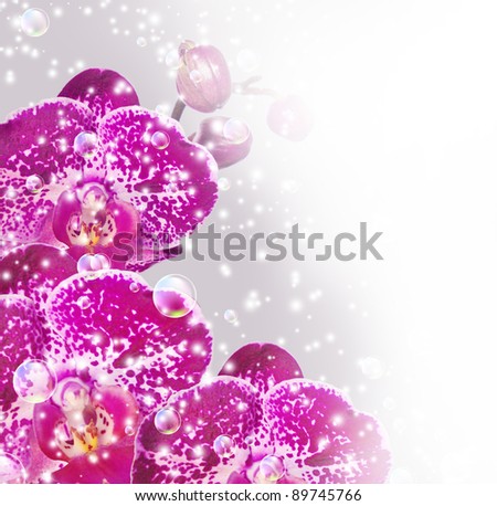 Card with orchid, bubbles and stars