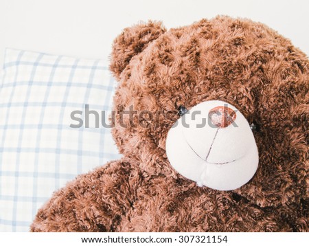 Fluffy brown teddy bear in Soft light, Filter process