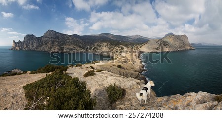 Unusual rock of the New World, Crimea