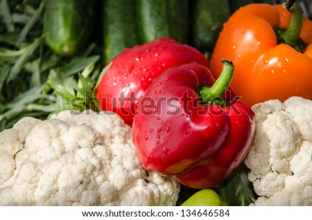Colorful peppers with cauliflowers, cucumbers and tarragon. Fresh vegetables at summer day