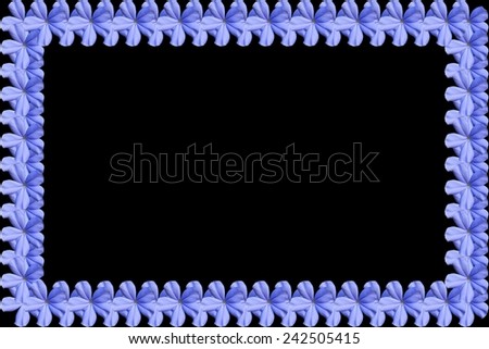 Picture frame from purple flowers on black background