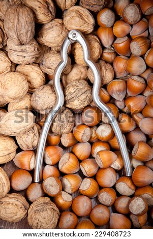 retro nutcracker on top of many dried hazelnuts and walnuts