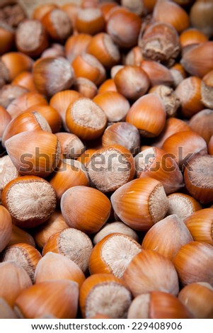 many dried hazelnuts, closeup