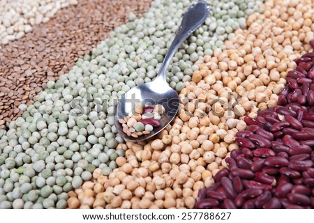 mix of raw legumes on silver spoon, with white beans, lentils, green beans, chick beans, kidney beans,
