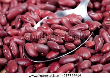 close up of raw red kidney beans on a silver spoon