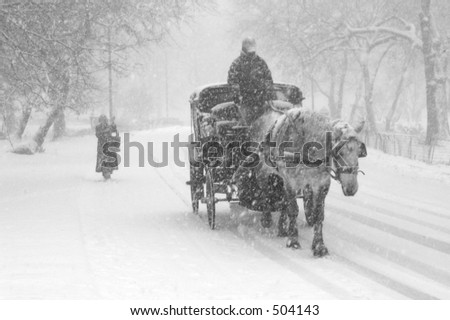 Snow storm in Central Park, New York. Black and white.