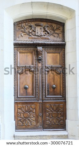 French antique wooden door