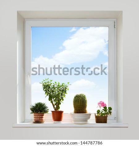 House plants on the windowsill. Spring.
