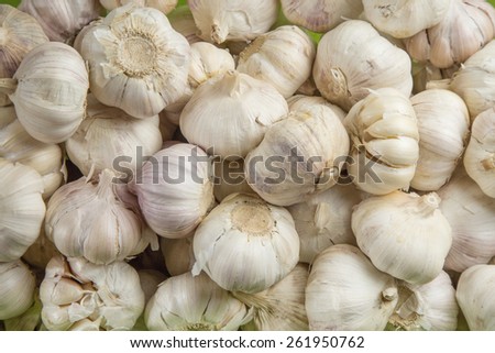Garlic healing power