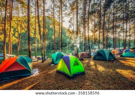 Camping and tent under the pine forest  in sunset at Pang-ung, pine forest park , Mae Hong Son, North of Thailand