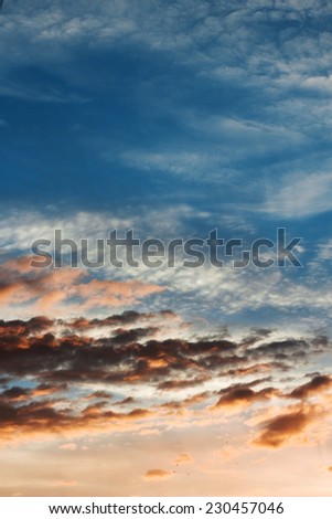 Cloudy sky.  Natural background. Texture. Sky at sunset. Natural background