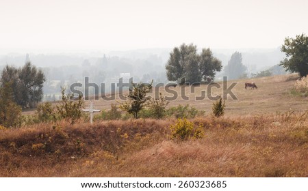 Landscape with cows. Rural landscape with cross and grazing cows. Foggy weather