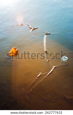 Branches and plastic bottles in water. Environmental pollution