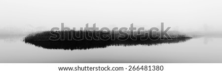 Reeds in fog. Rural landscape with river. Reeds in fog. Autumn. Panorama. Black and white photo