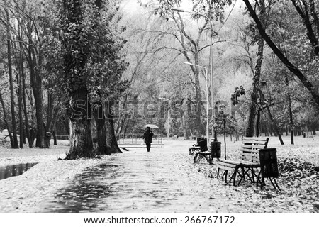 Snow in Park. Woman with umbrella walking in Park during heavy snowfall. Black and white photo
