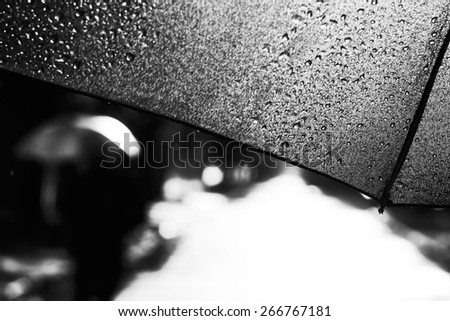 Under umbrella in rain. Walk under umbrella in heavy rain. Stormy weather. Black and white photo