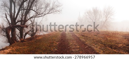Misty landscape with road. Village road, disappearing into fog. Loneliness, sad mood. Spring foggy morning