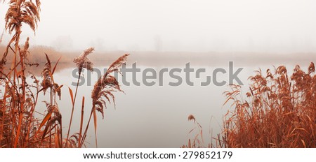 Landscape with river in fog. Reeds on river Bank. Misty autumn morning. Sad mood