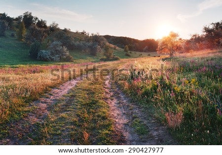 Summer landscape with road in field. Lonely tree at end of road at sunset. Wildflowers growing in meadow. Forest on hill. Backlight