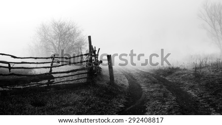 Rural landscape with road and fence. Wooden fence and tree in fog. Spring morning. Loneliness, sad mood. Black and white photo