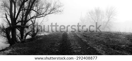 Village road, disappearing into fog. Loneliness, sad mood. Spring foggy morning. Black and white photo