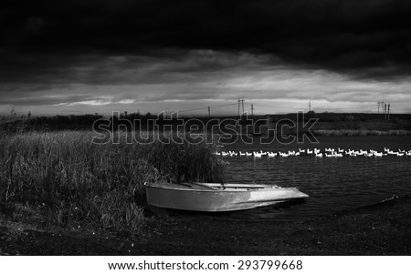 Boat on river and flock of geese floating on water. Dramatic sky before rain. Black and white photo