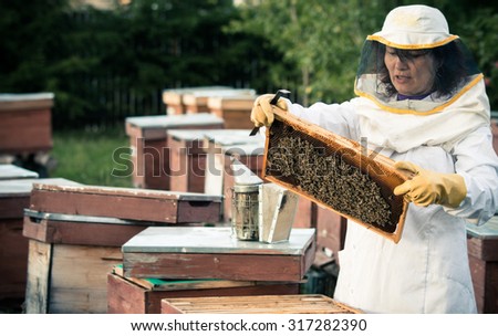 Beekeeper woman working with a frame full of bees.