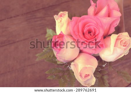 The pink rose in vintage tone, selected focus on the bloomed rose in the middle of all roses, like instagram filter effect, from the top view shot