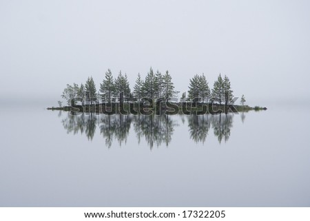 Foggy lake view. floating island