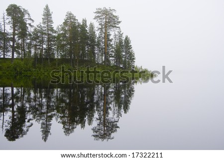 Foggy lake view. floating island