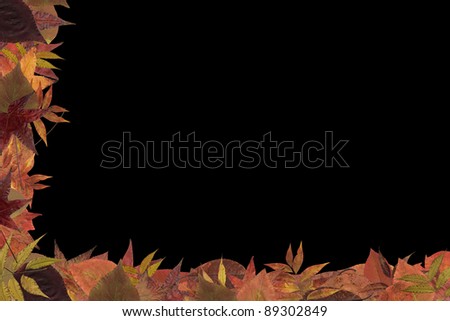 Autumn frame template with dark background