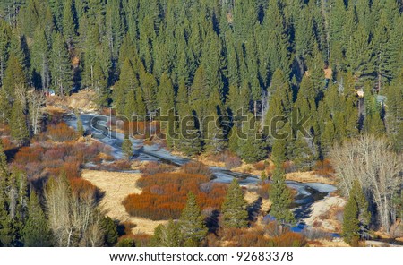Aerial view of small creek and evergreen forest. View from above on forest and small river