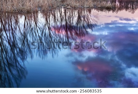 River bank, reflection in water