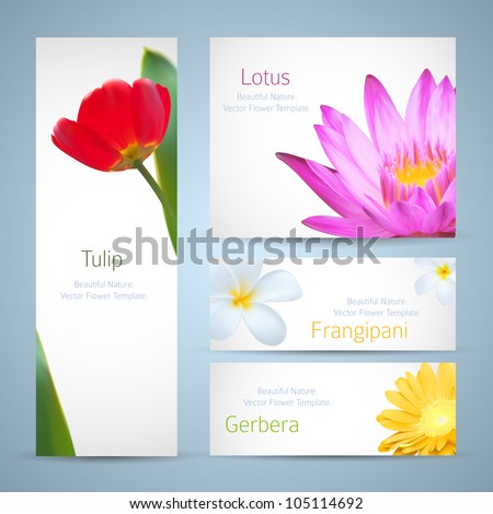 Brochure design, water lily flower, frangipani and tulip vector template. Exotic tropical flowers invitation card layout. Background design for banners