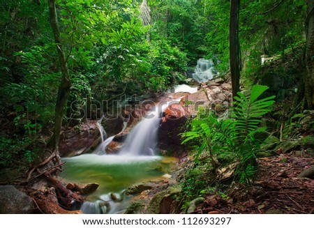 Wild jungle forest and scenery waterfall cascade with tropical plants. Nature background of Thailand evergreen national park