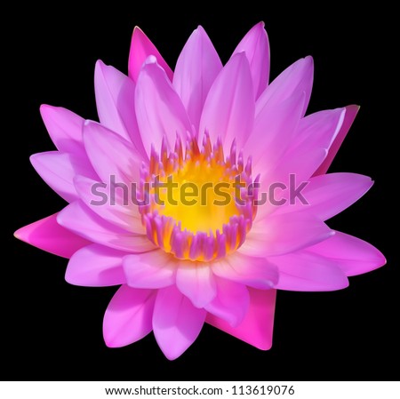 Flower vector icon, blossom of water lily. Exotic tropical plant Lotus.