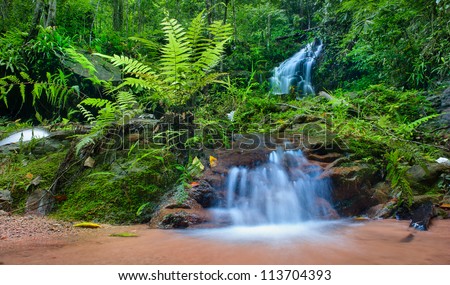 Jungle background, mountain creek HDR photography. Deep rain forest in Thailand.