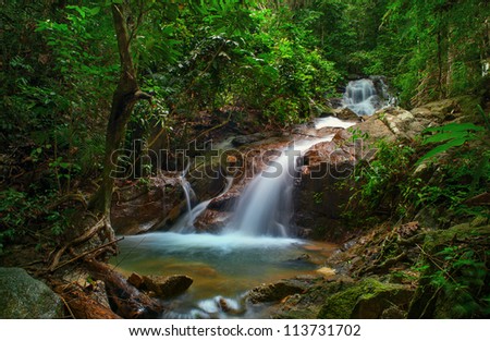  - stock-photo-small-waterfall-in-deep-jungle-forest-creek-stream-and-green-plants-environment-113731702