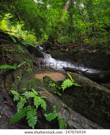 Green forest background. Nature jungle park with trees, tropical plants and fresh water stream