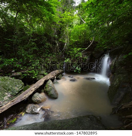 Forest trees landscape with tropical plants, wild mountain river and waterfall cascade. Thailand jungle travel background