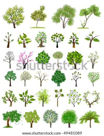 Tree Vector Icon - 49481089 : Shutterstock