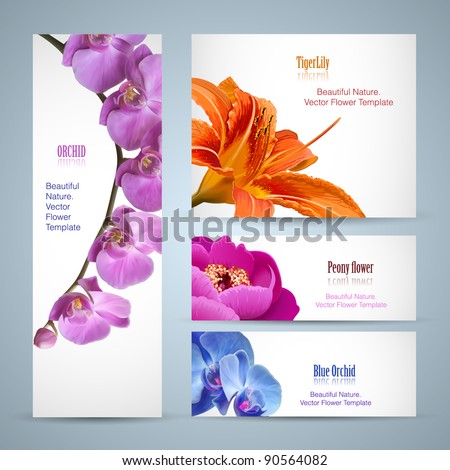 Free Brochure Templates on Stock Vector   Brochure Design  Orchid Flower Vector Template