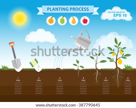 process of planting growing and selling Before you plant your first seed, answer this question: how will you sell your crops a good marketing plan is an absolute must for a successful farm business. process of planting growing and selling Before you plant your first seed, answer this question: how will you sell your crops a good marketing plan is an absolute must for a successful farm business.
