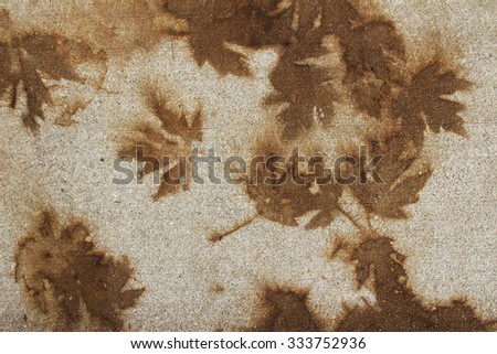 Brown maple leaf stains on the pavement, abstract background