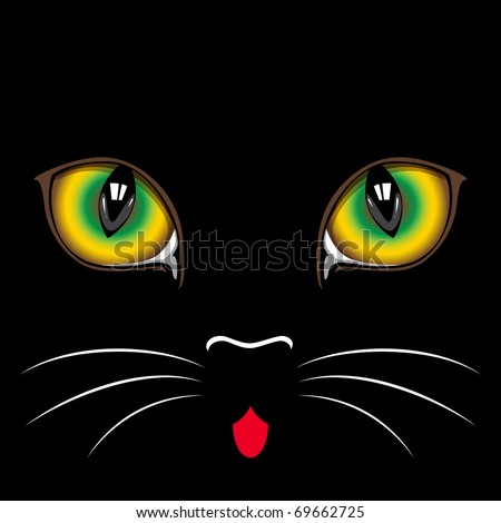 cat eyes close up. stock vector : Muzzle black cat close up. Eyes.